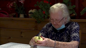 שושנה גרינברג מתוך מהדורת חדשות 12 צילום מסך, צילום: צילום מסך